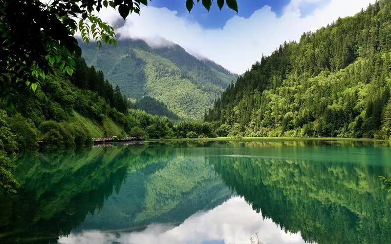 自动化数字化